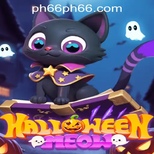 HalloweenMeow: An Exciting Festive Adventure