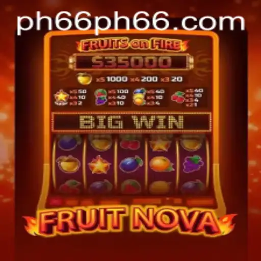 Exploring the Vibrant World of FruitNova and Its Exciting Gameplay
